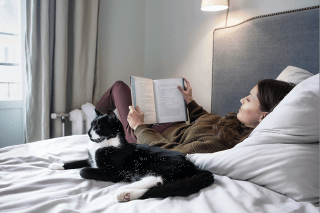 Vrouw met kat leest boek op bed