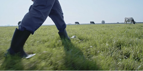 Man die met laarzen door een weiland loopt