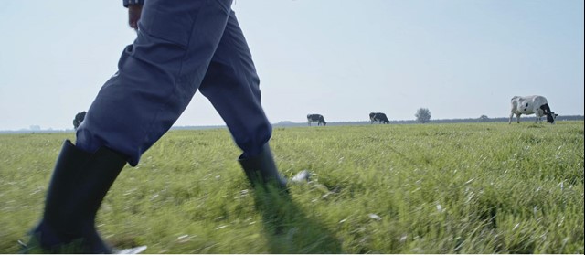 Man met kaplaarzen die door een weiland loopt