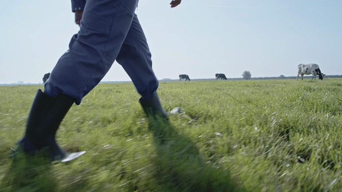 Boer met laarzen die door weiland loopt