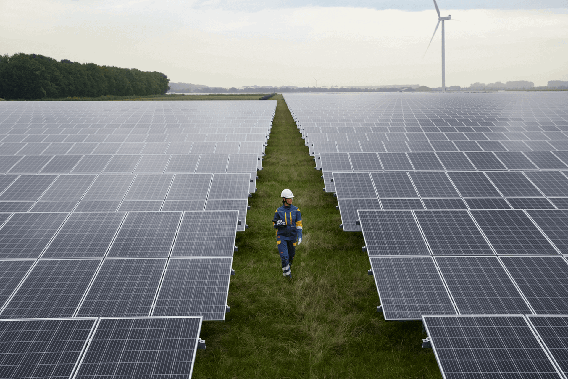 Zonnepark met een rij zonnepanelen in het gras