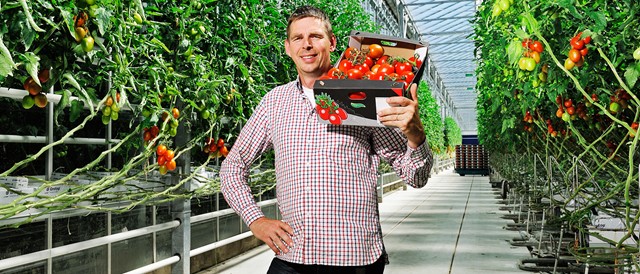 Duijvestijn Tomaten verwarmt de kassen met aardwarmte