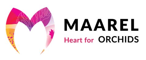 logo maarel orchids