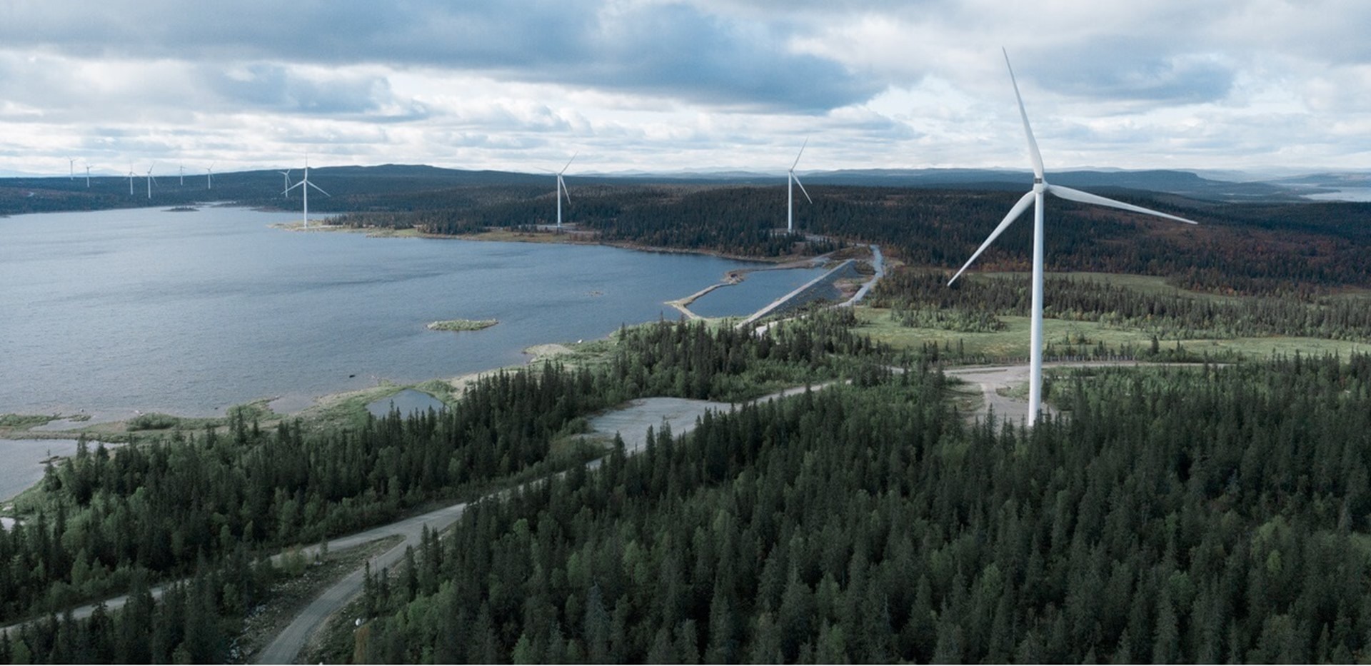 stroometiket vattenfall zakelijke markt