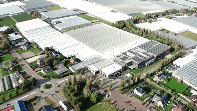 Luchtfoto van een kassencomplex in het Westland