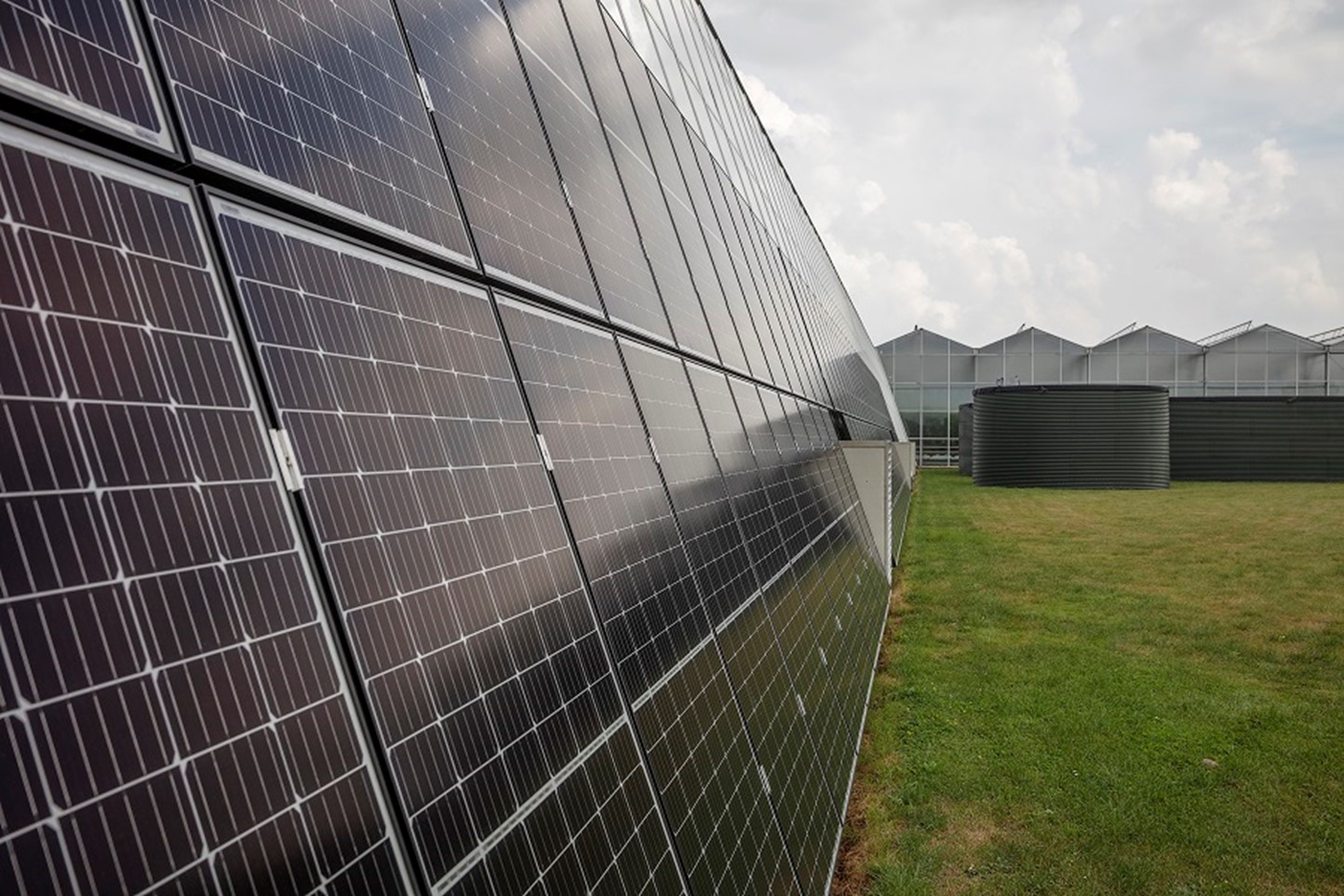 Zonnepanelen bij een glastuinbouwer