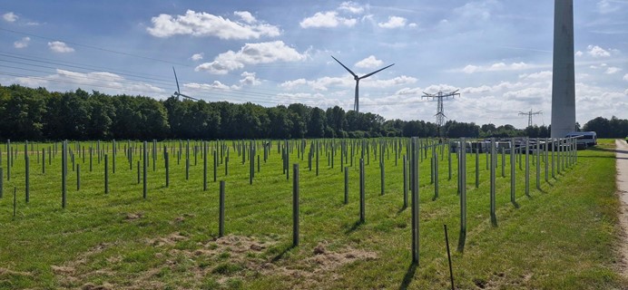 De beoogde plaats voor Zonnepark De Hoge Vaart