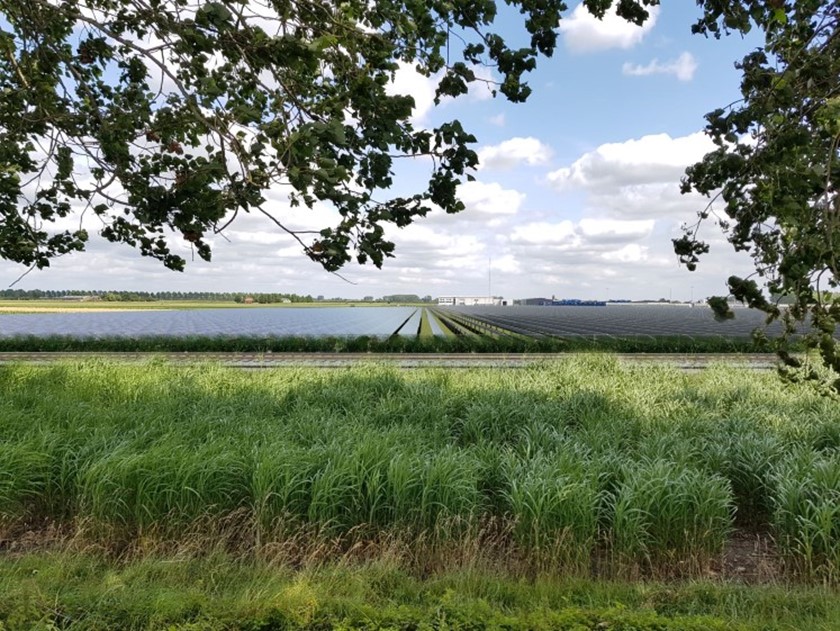 Beeld van een zonnepark vanaf een dijk