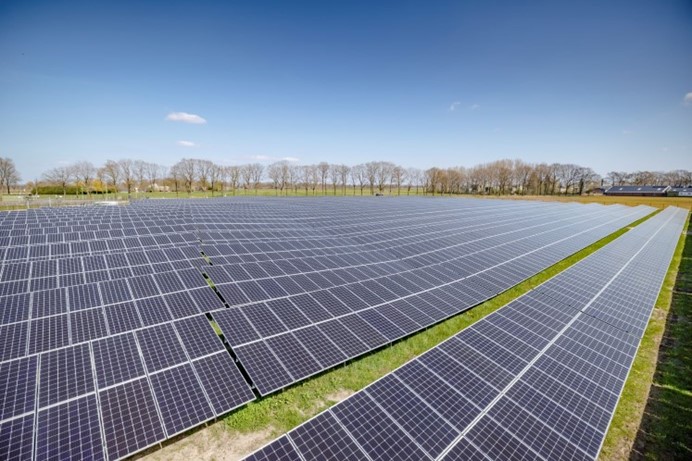 Veld met zonnepanelen en groen gras