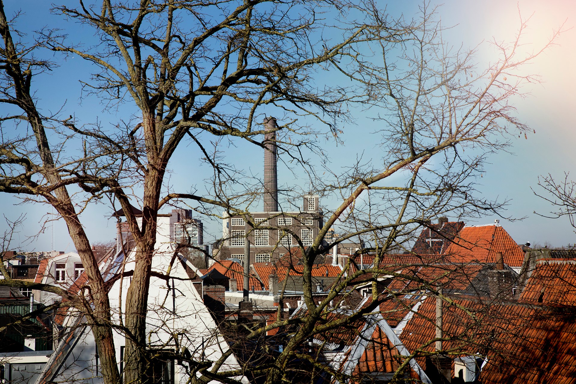 Uitzicht op Leiden met toren