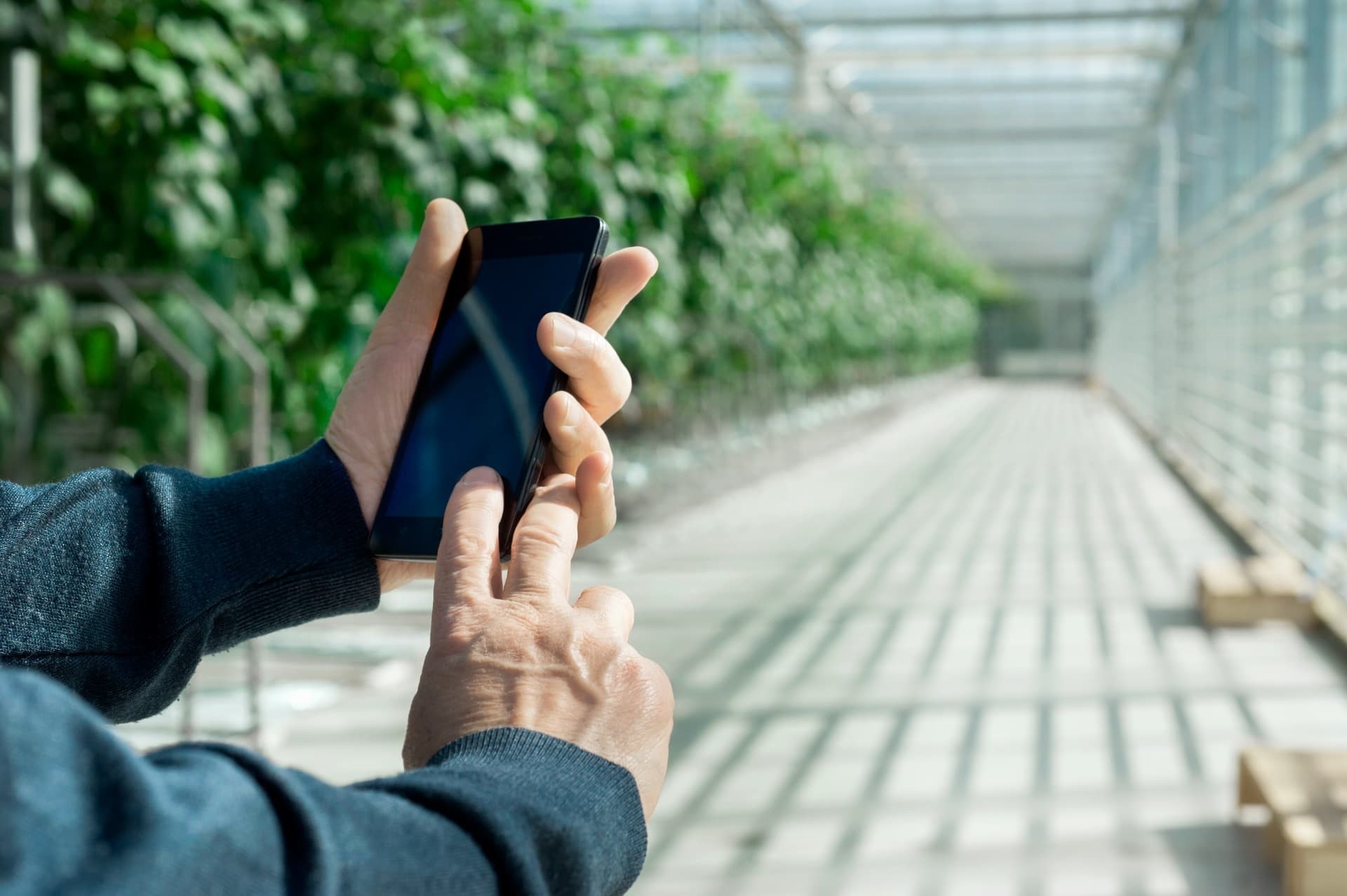 Man in kas van een tuinder | tuinderverklaring voor een lager belastingtarief voor tuinders